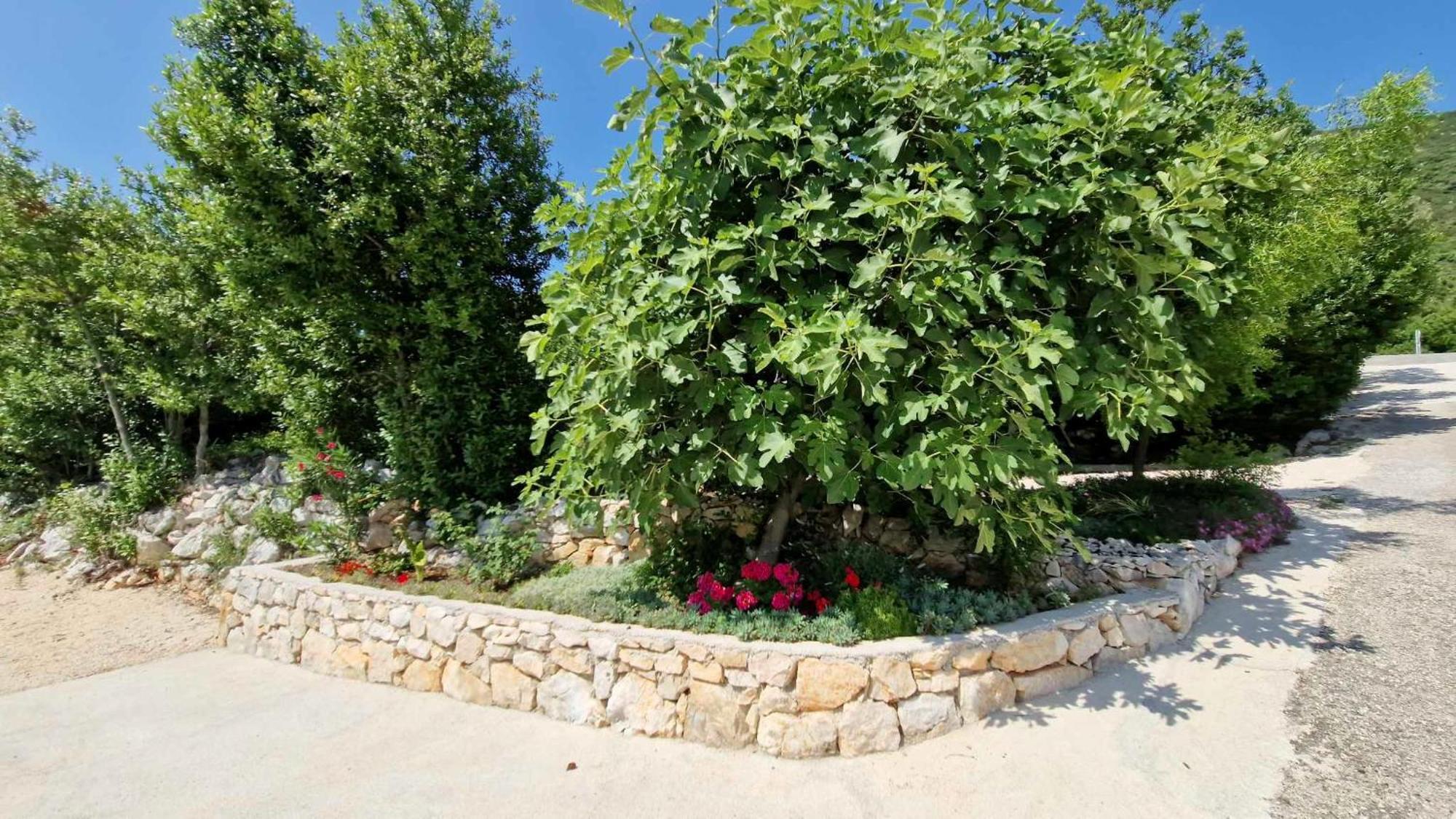 Villa Paradise Garden Ston Esterno foto
